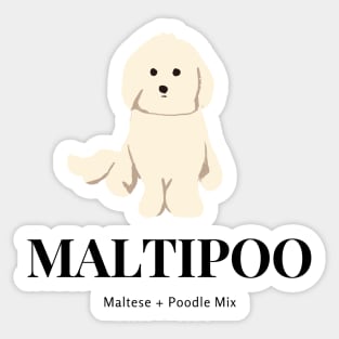 Maltipoo Explanation Sticker